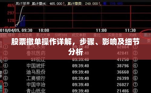 股票撤单操作详解，步骤、影响及细节分析