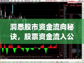 洞悉股市资金流向秘诀，股票资金流入公式解析