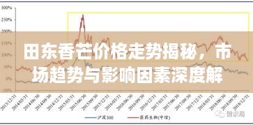 田东香芒价格走势揭秘，市场趋势与影响因素深度解析