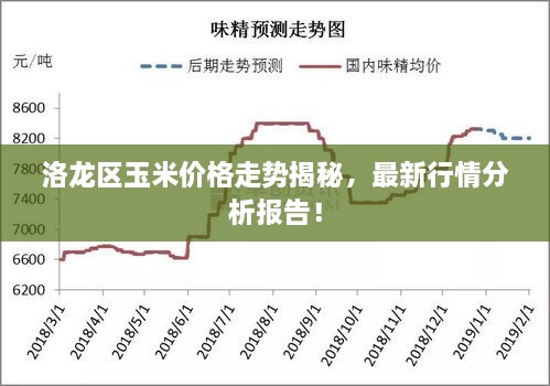 洛龙区玉米价格走势揭秘，最新行情分析报告！