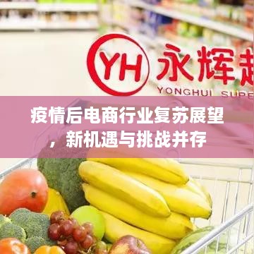 疫情后电商行业复苏展望，新机遇与挑战并存