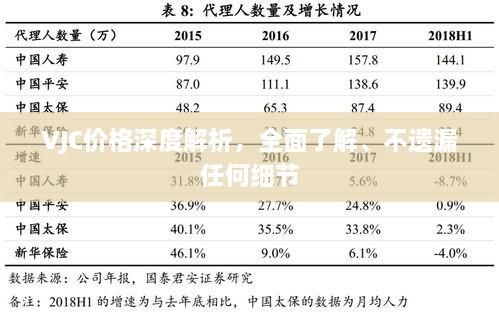 VJC价格深度解析，全面了解、不遗漏任何细节