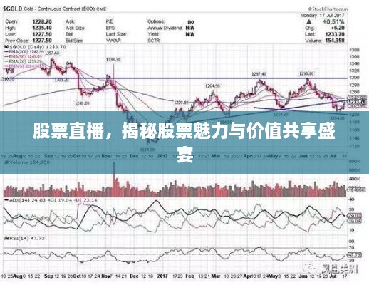 股票直播，揭秘股票魅力与价值共享盛宴