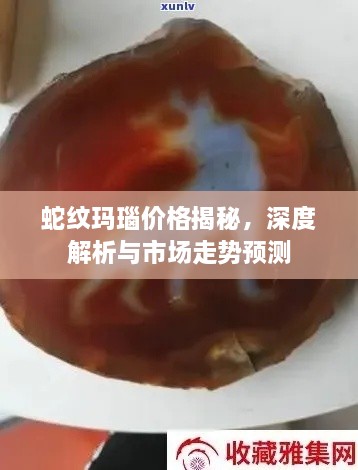 蛇纹玛瑙价格揭秘，深度解析与市场走势预测