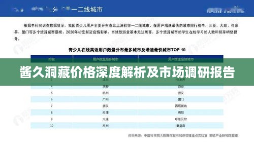 酱久洞藏价格深度解析及市场调研报告