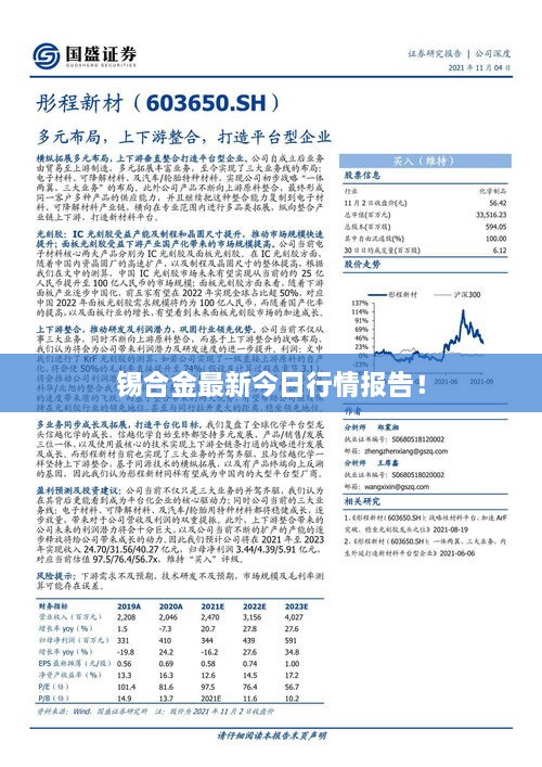 锡合金最新今日行情报告！