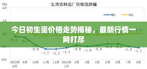 今日初生蛋价格走势揭秘，最新行情一网打尽