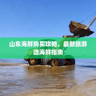 山东海鲜购买攻略，最新旅游选海鲜指南