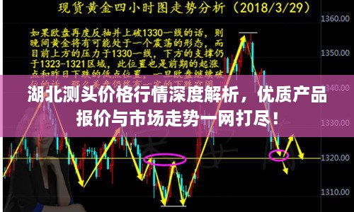 湖北测头价格行情深度解析，优质产品报价与市场走势一网打尽！