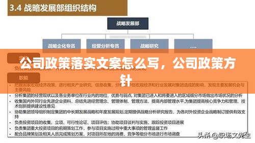 公司政策落实文案怎么写，公司政策方针 