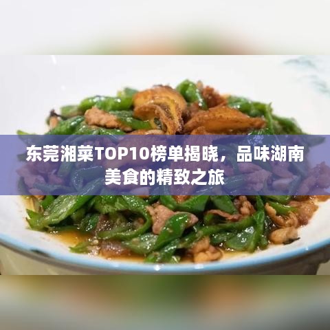 东莞湘菜TOP10榜单揭晓，品味湖南美食的精致之旅