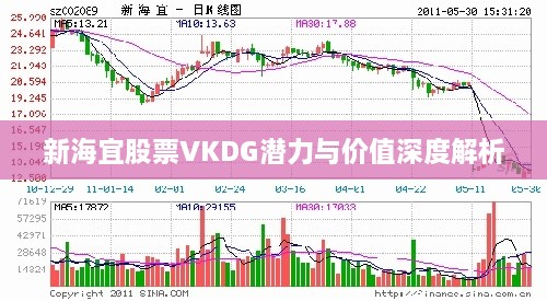 新海宜股票VKDG潜力与价值深度解析