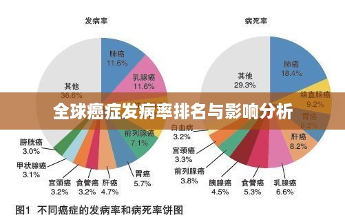 全球癌症发病率排名与影响分析