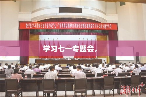 学习七一专题会， 