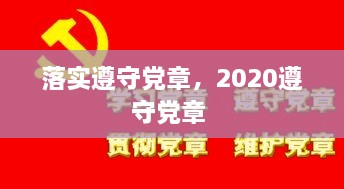 落实遵守党章，2020遵守党章 