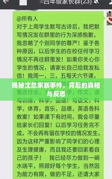 揭秘沈总家暴事件，背后的真相与反思