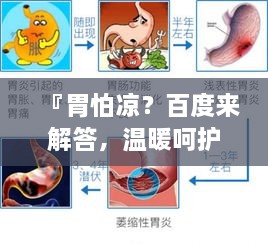 『胃怕凉？百度来解答，温暖呵护你的胃健康』