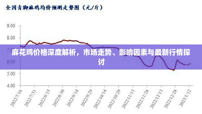 麻花鸡价格深度解析，市场走势、影响因素与最新行情探讨