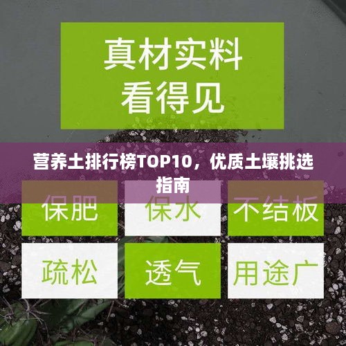 营养土排行榜TOP10，优质土壤挑选指南