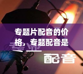 专题片配音的价格，专题配音是什么 