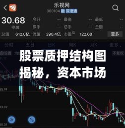 股票质押结构图揭秘，资本市场融资趋势新动向