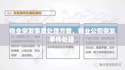 物业突发事故处理方案，物业公司突发事件处理 