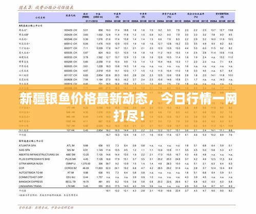 新疆银鱼价格最新动态，今日行情一网打尽！