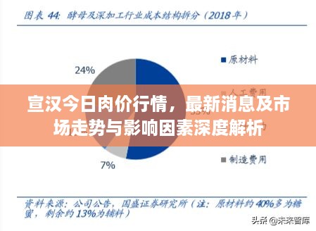 宣汉今日肉价行情，最新消息及市场走势与影响因素深度解析