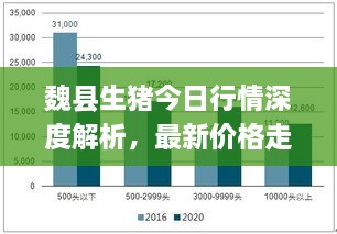 魏县生猪今日行情深度解析，最新价格走势一网打尽