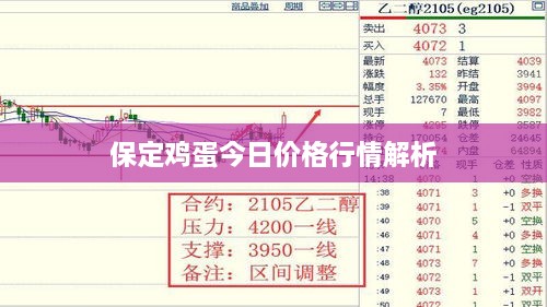 保定鸡蛋今日价格行情解析