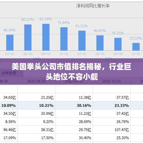 美国拳头公司市值排名揭秘，行业巨头地位不容小觑