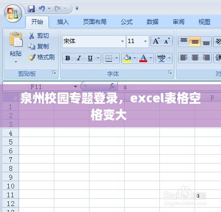 泉州校园专题登录，excel表格空格变大 