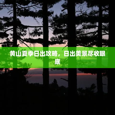 黄山夏季日出攻略，日出美景尽收眼底