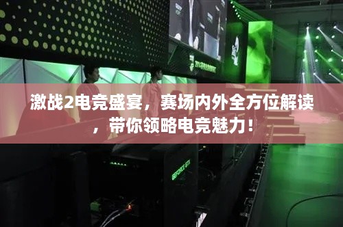 激战2电竞盛宴，赛场内外全方位解读，带你领略电竞魅力！