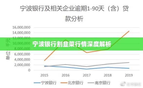 宁波银行割韭菜行情深度解析