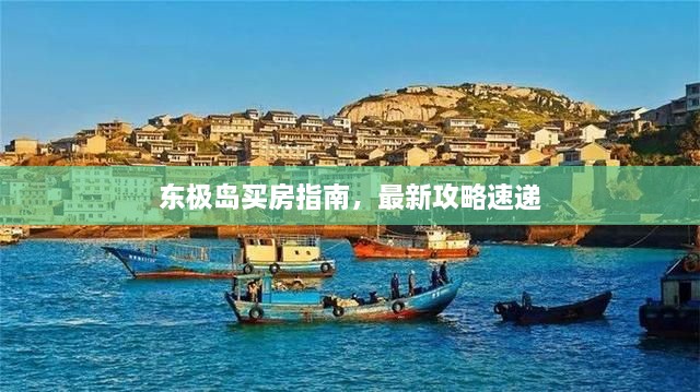 东极岛买房指南，最新攻略速递