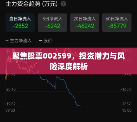 聚焦股票002599，投资潜力与风险深度解析