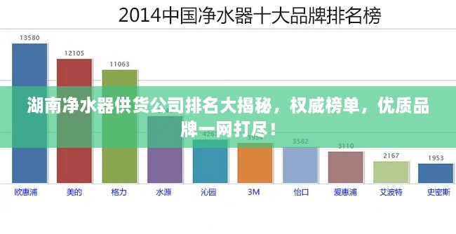 湖南净水器供货公司排名大揭秘，权威榜单，优质品牌一网打尽！