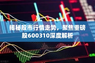 揭秘股市行情走势，聚焦重磅股600310深度解析