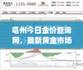 亳州今日金价查询网，最新黄金市场动态与趋势深度解析