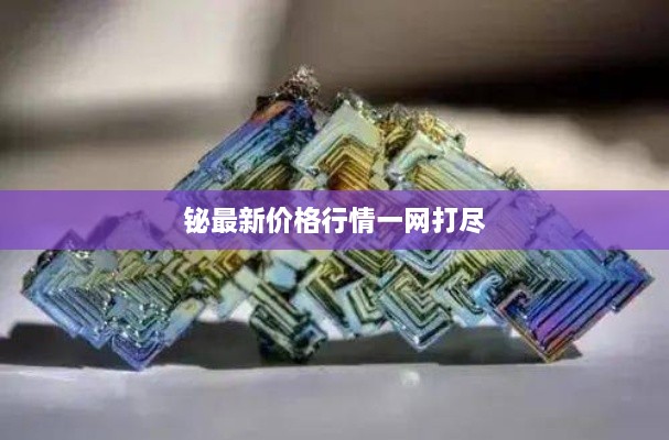 铋最新价格行情一网打尽