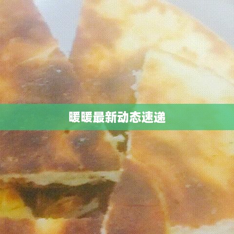 暖暖最新动态速递