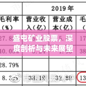 盛屯矿业股票，深度剖析与未来展望