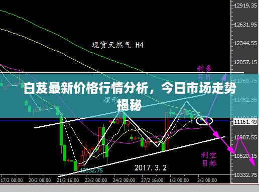 白芨最新价格行情分析，今日市场走势揭秘