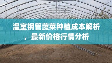 温室钢管蔬菜种植成本解析，最新价格行情分析