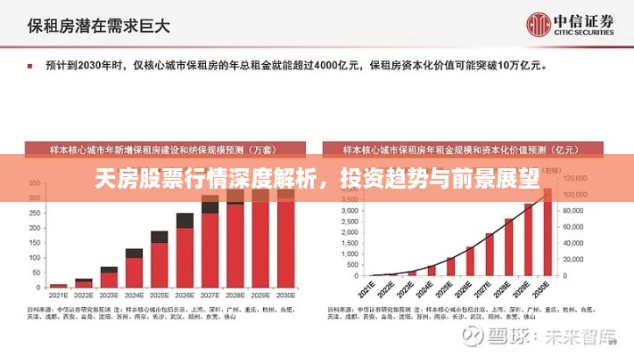 天房股票行情深度解析，投资趋势与前景展望