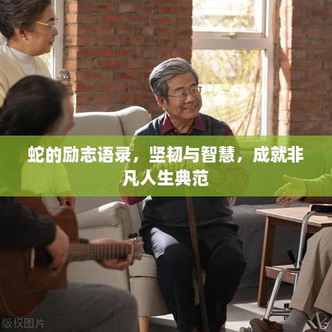 蛇的励志语录，坚韧与智慧，成就非凡人生典范