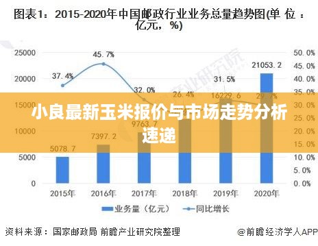 小良最新玉米报价与市场走势分析速递