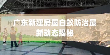 广东新建房屋白蚁防治最新动态揭秘