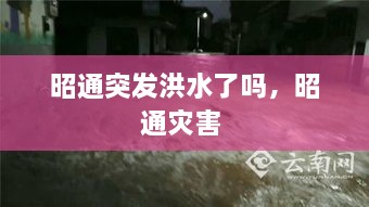 昭通突发洪水了吗，昭通灾害 